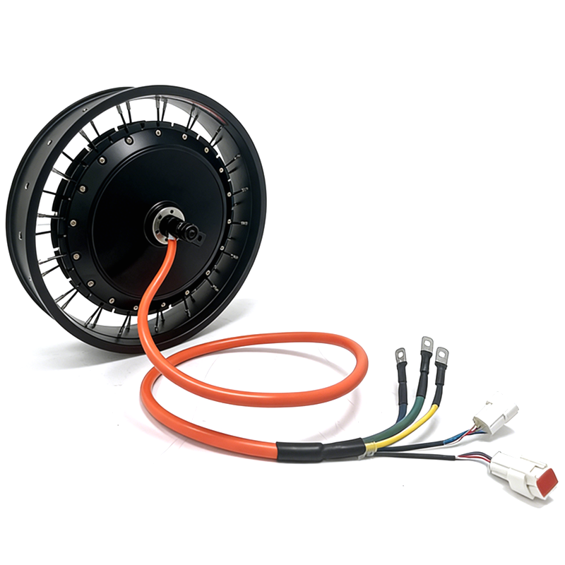 NBpower/QS 273 40H 48-96v nomi - Qs Motor 273 8000W Hub Motor recensione e prezzo