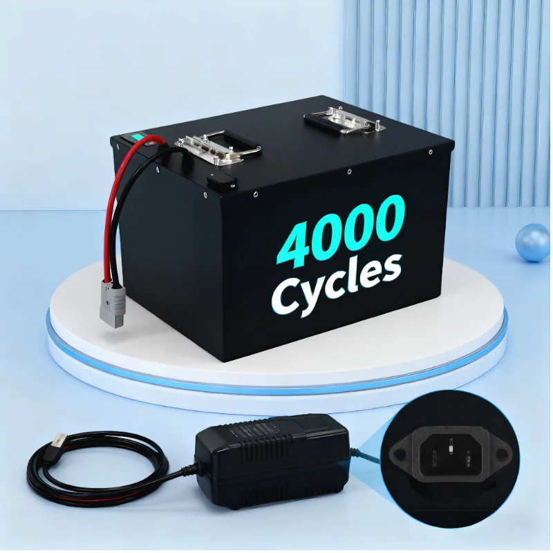 Batteria LIFEPO4 con BMS 72V 8 - Lifepo4 72V 100Ah Battery Pack Ev recensione e prezzo
